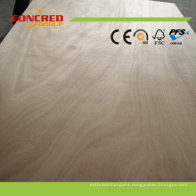 Indoor Use Green Plywood for Furniture